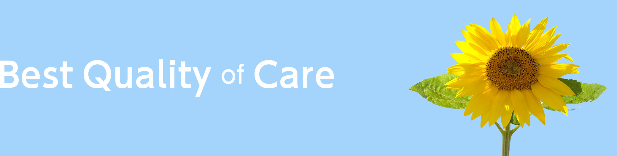 Best Quality of Care